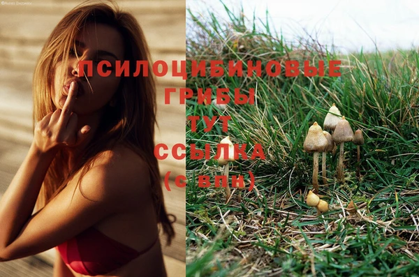 марки nbome Аркадак