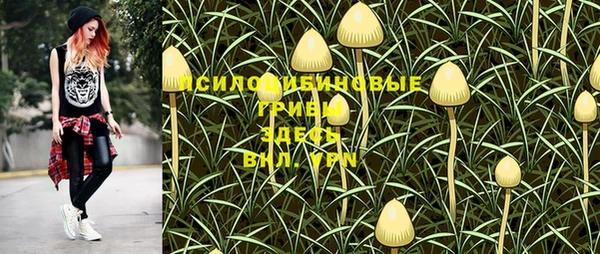 марки nbome Аркадак